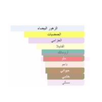 عطر ماي بارتي 100 مل