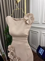 فستان باربي مورد