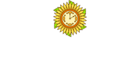نوادر الزمان