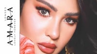 عدسات امارا - جراي Amara Gray - يومية Daily