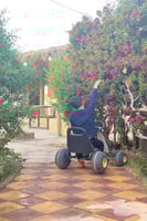 شاليه فلورا ( بيشة ) جنوب المدينة قرب عمائر الشاعر