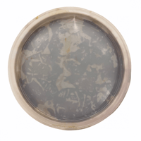 علبة تمر صفري بيشة وزن 266 جرام