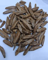 كيلو - عودة مروكي محسن