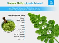 100 جرام ورق المورينجا المجفف Moringa.