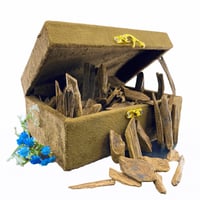 عودة كلمنتان طبيعي 100٪