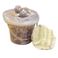 عرض 2 شعثه صغيره 380 جرام.