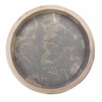 تمر خلاص الأحساء كبس 350 جرام