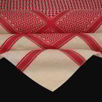 شال باشمينا ملكي فاخر - صوف كشميري 100%