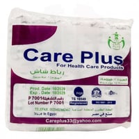 شاش رول مصري