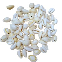 صدف طبيعي كيس 50 حبه