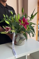 فازة ليليوم ستاركيزر | Lilium vase