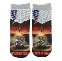 Sicks attack on titan