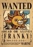 Wanted - franky (10)