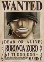 Wanted - zoro (3)