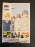 Omoi, Omoware, Furi, Furare artbook