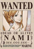 Wanted - nami (2)