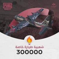 شعبية طائرة خاصة 300000
