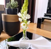 حامل منديل سفره