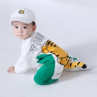 جمبسوت بذيل نمر