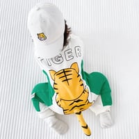 جمبسوت بذيل نمر