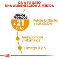 رويال كانين اكل قطط جاف للعناية بالشعر والجلد كيس...