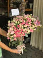 فازه الاستر