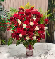 فازه لاتانا