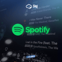 سبوتيفاي (شهرين)