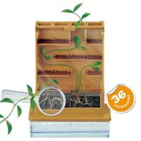 تجربة زراعية تعليمية