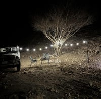 عقد برق نجد الكلاسيكي