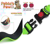 طوق تاجلوري لون أخضر نيون عاكس مع مشبك قفل أمان مق...