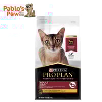 برو بلان فسي اكل جاف للقطط لصحة الكلى - دجاج ٤٠٠جم