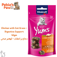 فيتاكرافت كات يمز مكافآت - دجاج و أعشاب ٤٠جم