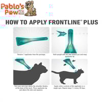 علاج فرونت لاين بلس للبراغيث والقراد للقطط فوق 8 أ...