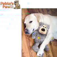 دبدوب العقد البرية من كونج (بني غامق) كبير