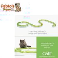 لعبة الحلبة سنسيز 2.0 من كاتيت للقطط