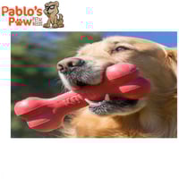 كونج - جودي بون - للكلاب وزن 7كج الى 16كج KONG Goo...