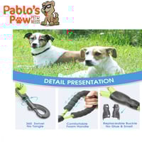 ليش قوي بمقبض مبطن مريح وخيوط عاكسة للغاية (أخضر ن...