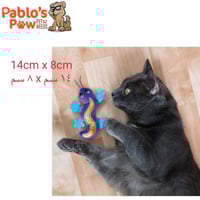 بتر باز الوزغة من كونج مع النعناع البري