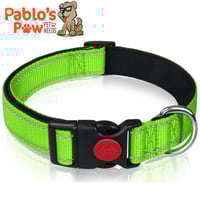 طوق تاجلوري لون أخضر نيون عاكس مع مشبك قفل أمان مق...