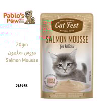 كات فست كيس اكل رطب للكيتينز - مووس سلمون - ٧٠جم