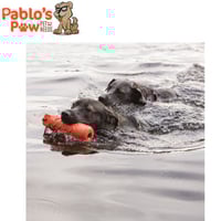 دمية التدريب من كونج (فوم) كبير جداً