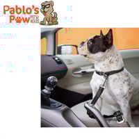 حزام الأمان للكلاب مع وصلة مطاطية بنجي أسود 53 سم...