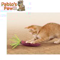 لعبة جزرة الكات نيب لون بنفسجي من كونج للقطط 15سم...