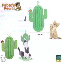 خداشة الصبار للقطط مع كاتنيب 44*30سم