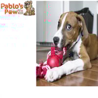 كونج - طابة 6.5سم مع حبل - صغير للكلاب وزن 16كيلو