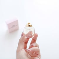 عطر ميني كوتش نيويورك