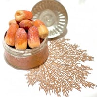 صقعي عضوي ملكي