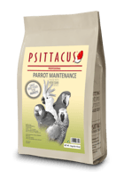 سيتاكوس أكل يومي parrots maintenance للببغاوات