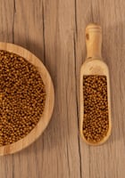 سيتاكوس مينور - PSITTACUS Minor